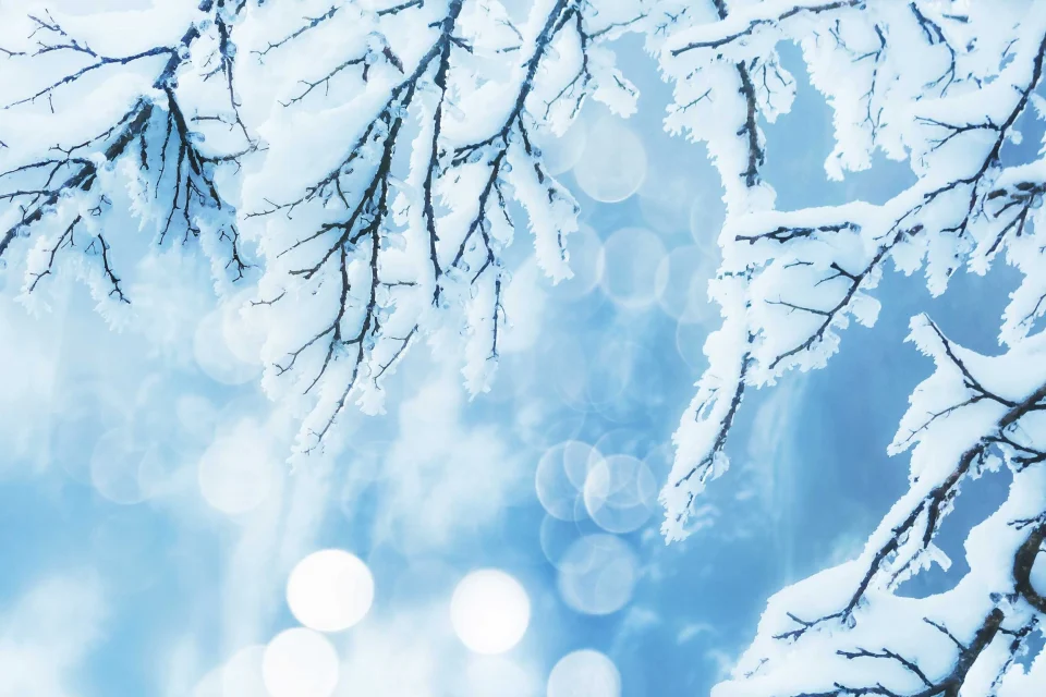 exc-5de52a3d29802b34bcad4245