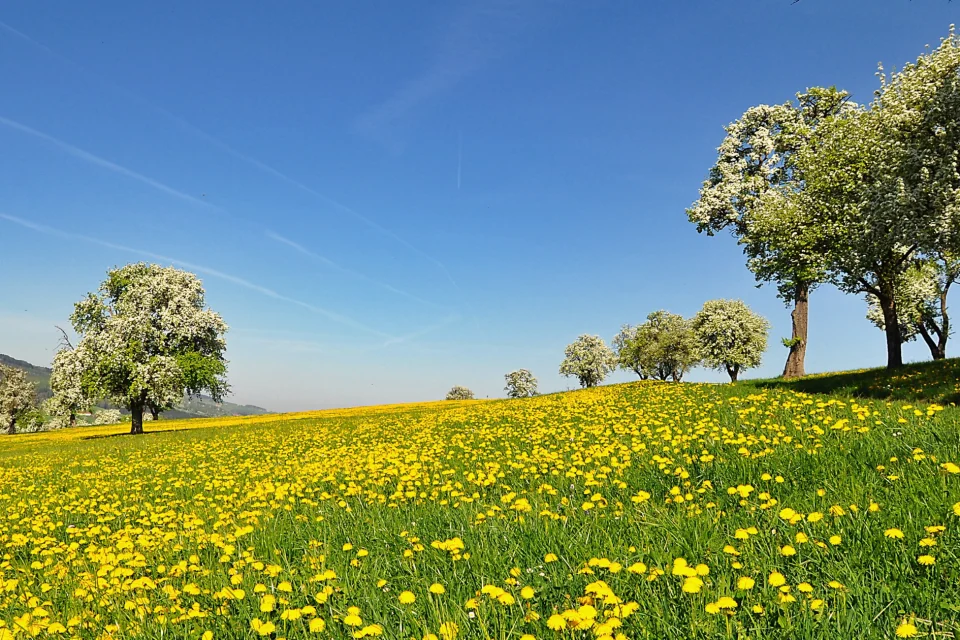 exc-624c4dac245b457fadb59bdc