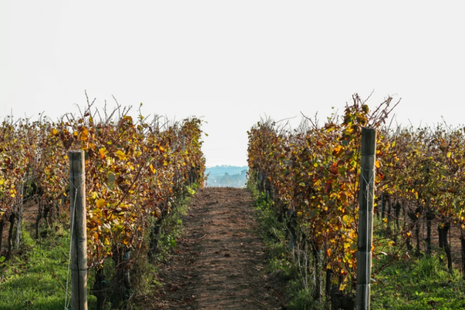 exc-692dc7c3ffc0332dfc5cd637