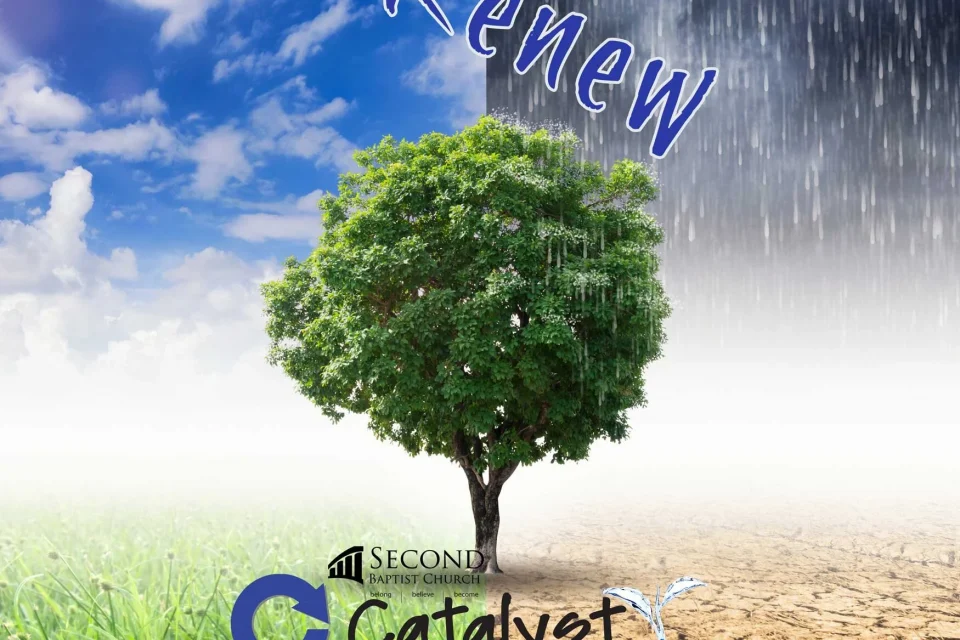 exc-5f8750d76c17716b236bc887