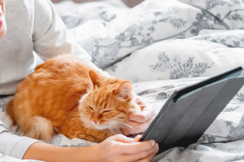 exc-5de52ecd01908e6073157a05