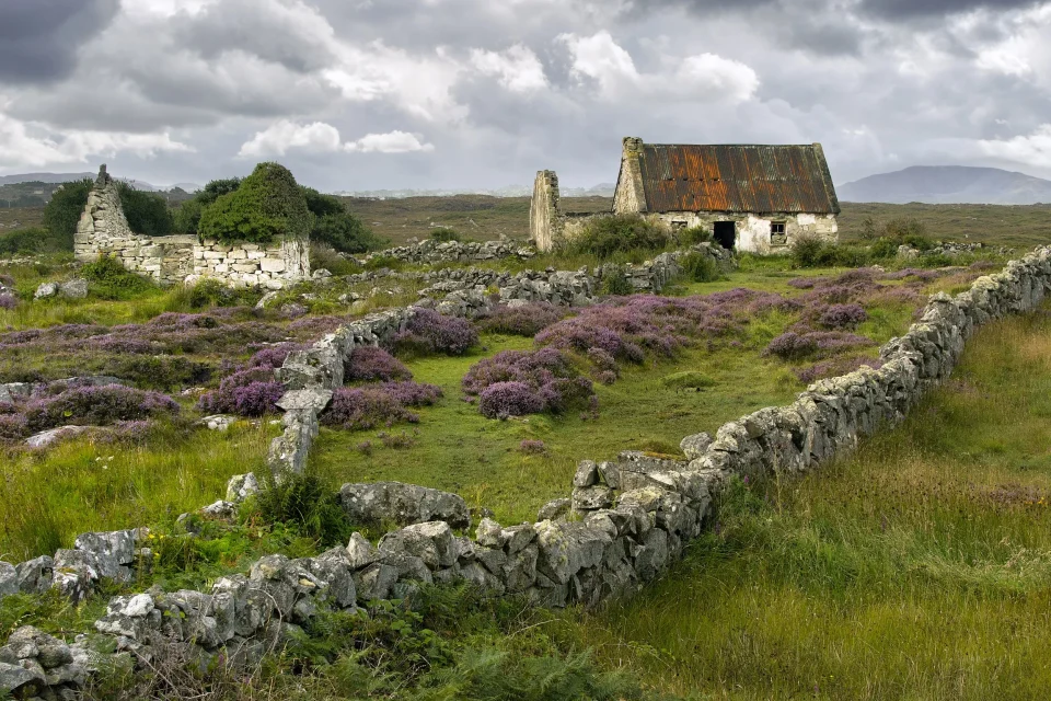 exc-61f958346bdb3c10c5d9e402